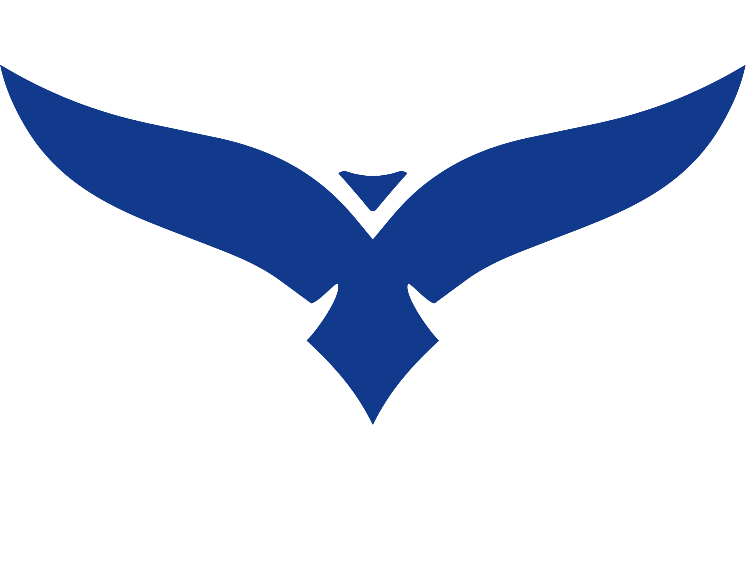 Torices Guard